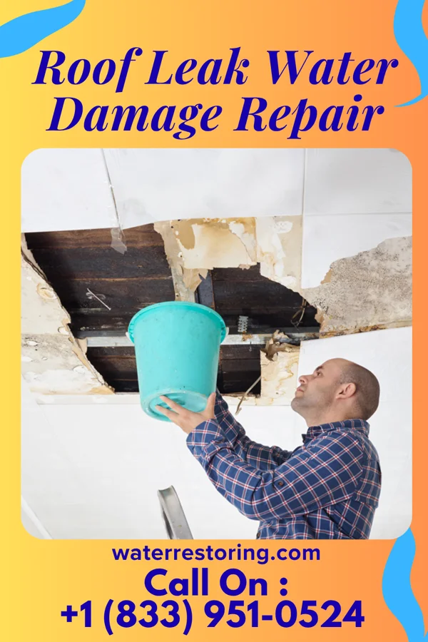 Roof Leak Water Damage Repair in Oberlin, LA